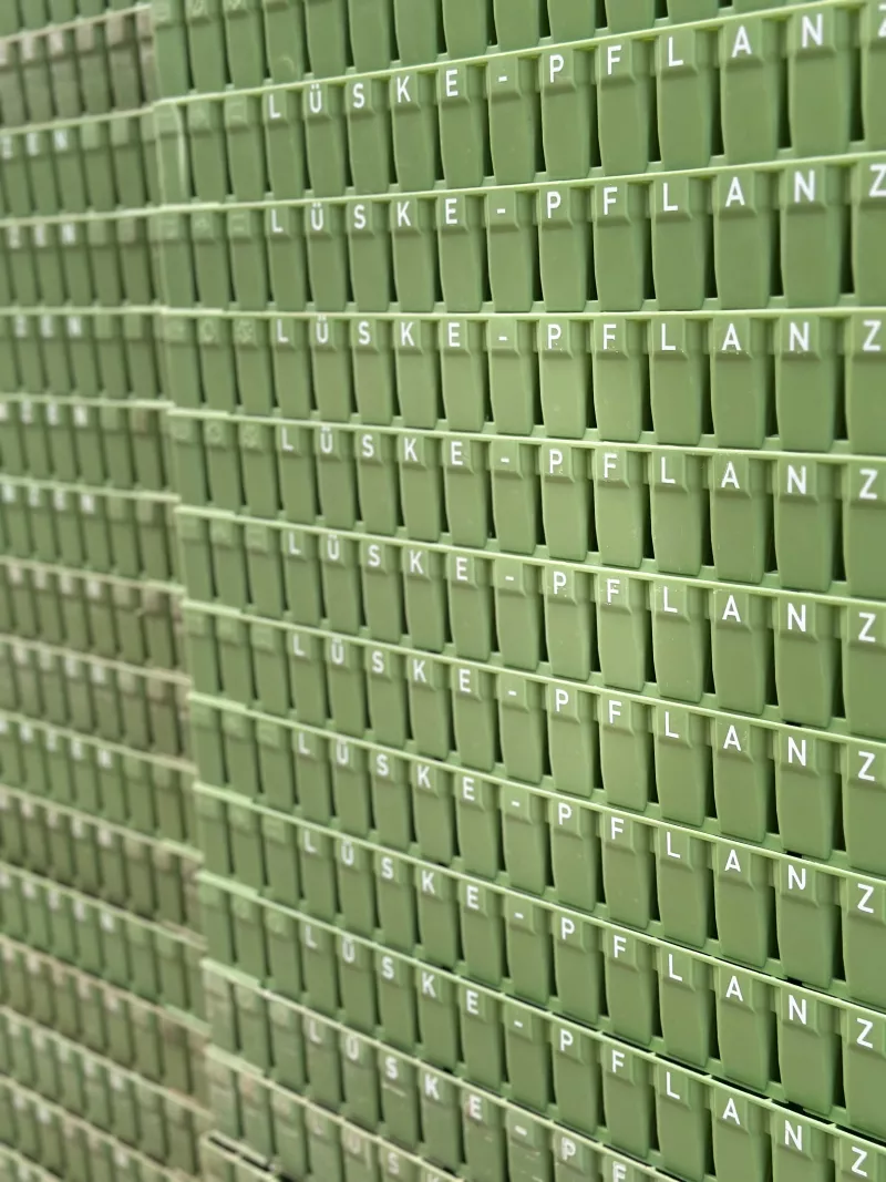 Neue Sälinie für Speedys