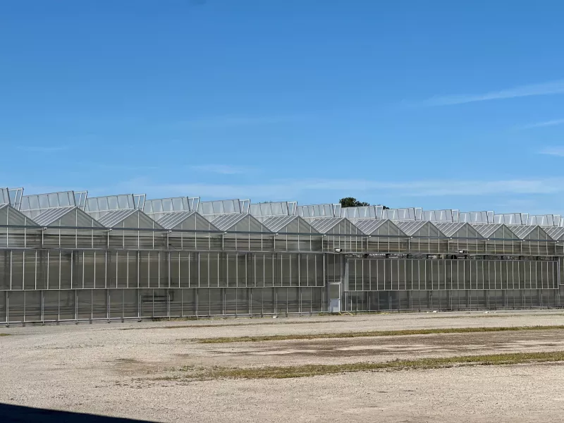 Fertigstellung Treibhaus 3 (2. Bauabschnitt)