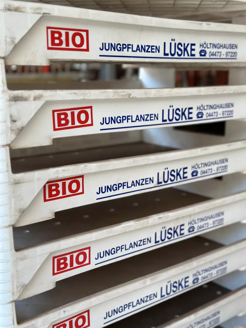 Gründung der Firma Bio Jungpflanzen Lüske