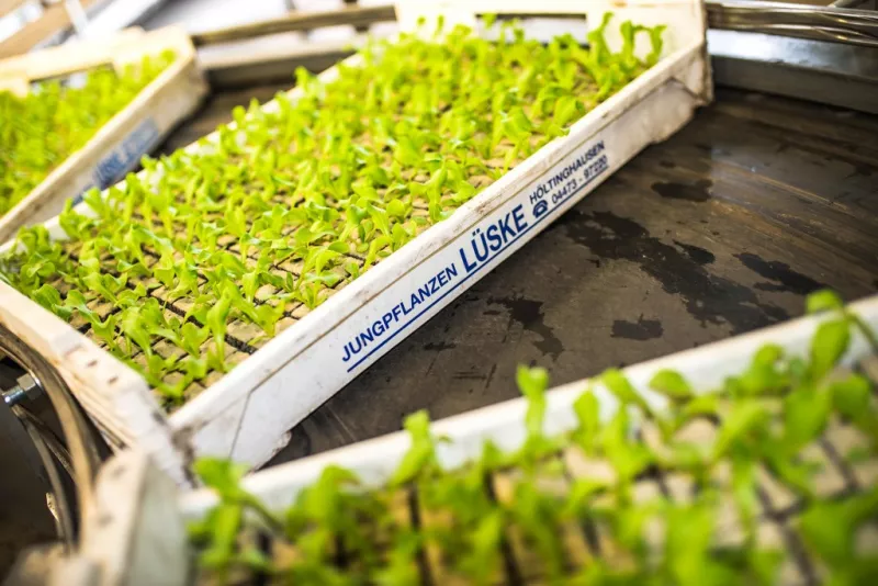 Baubeginn Treibhaus 3 (1. Bauabschnitt)