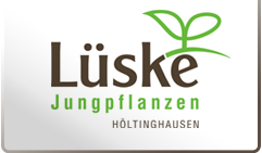 Lüske Jungpflanzen Höltinghausen
